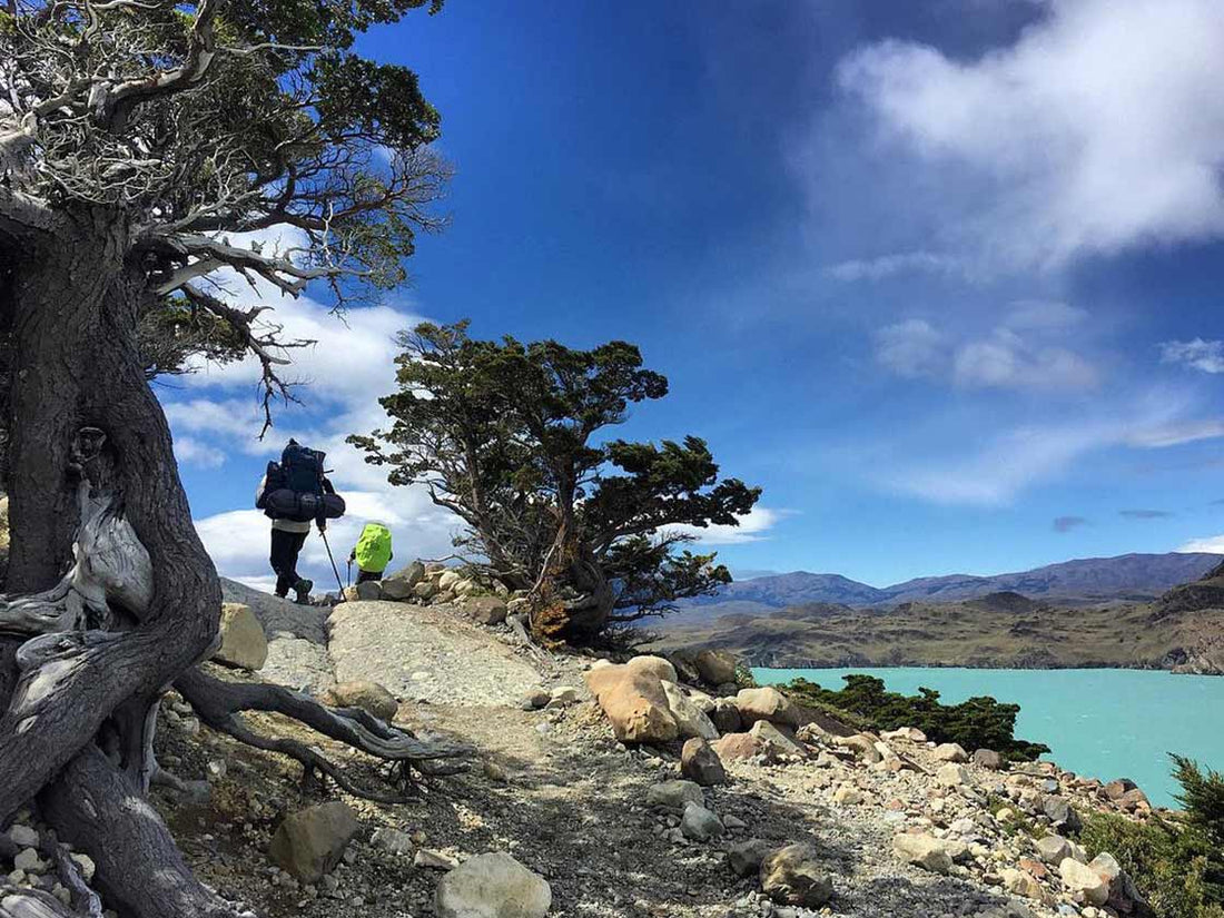 ¿Pensando en visitar Torres del Paine?