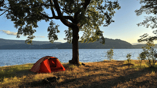 Carpa de 4 estaciones para expediciones: conoce la Expedition PRO de Discovery